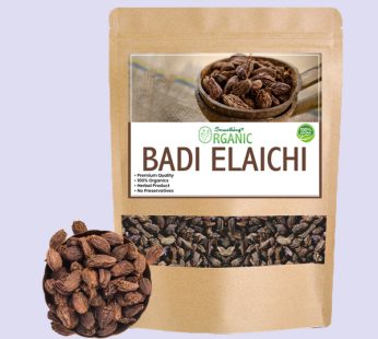 Cardamom Spice: Badi Elaichi Aromatic Flavor for Culinary Delights
