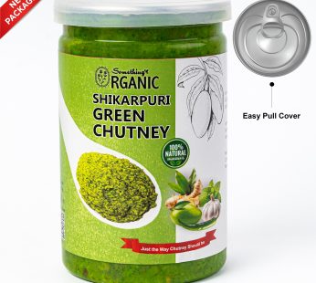 Green Chutney – A Burst of Freshness in Every Bite 500 Grams PetCan
