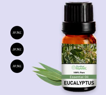 100% Pure & Natural Eucalyptus Aromatherapy Essential Oil