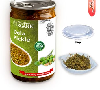 Dela Achar / Dala Pickle Dela Achaar 400 Grams PetCan
