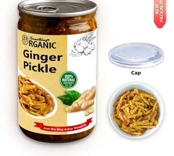 Ginger Pickle: Spicy and Tangy Delight – 400 grams PetCan