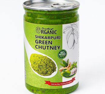 Green Chutney – A Burst of Freshness in Every Bite 500 Grams PetCan