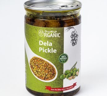 Dela Achar / Dala Pickle Dela Achaar 500 Grams PetCan